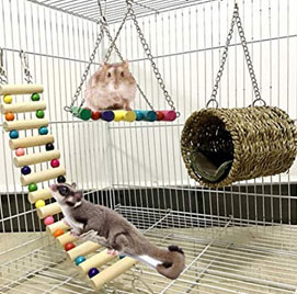 small-pet-cage-accessories